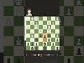 Bishop's Opening: Boi Variation #catur #chess #shorts #chesscom@chess