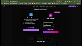 BackTesting | PAI Squared | Parabolic Agentic Intelligence | PAI | Parabolic