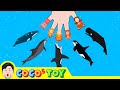 [24min] Let's play with whales in my fishtank .etc binge viewingㅣcartoon for kidsㅣCoCosToy