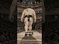 正代関・元大関「みんな当たりたくない」