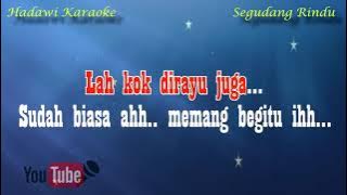 Karaoke CAMELIA MALIK - SEGUDANG RINDU (Mix) Tanpa Vokal