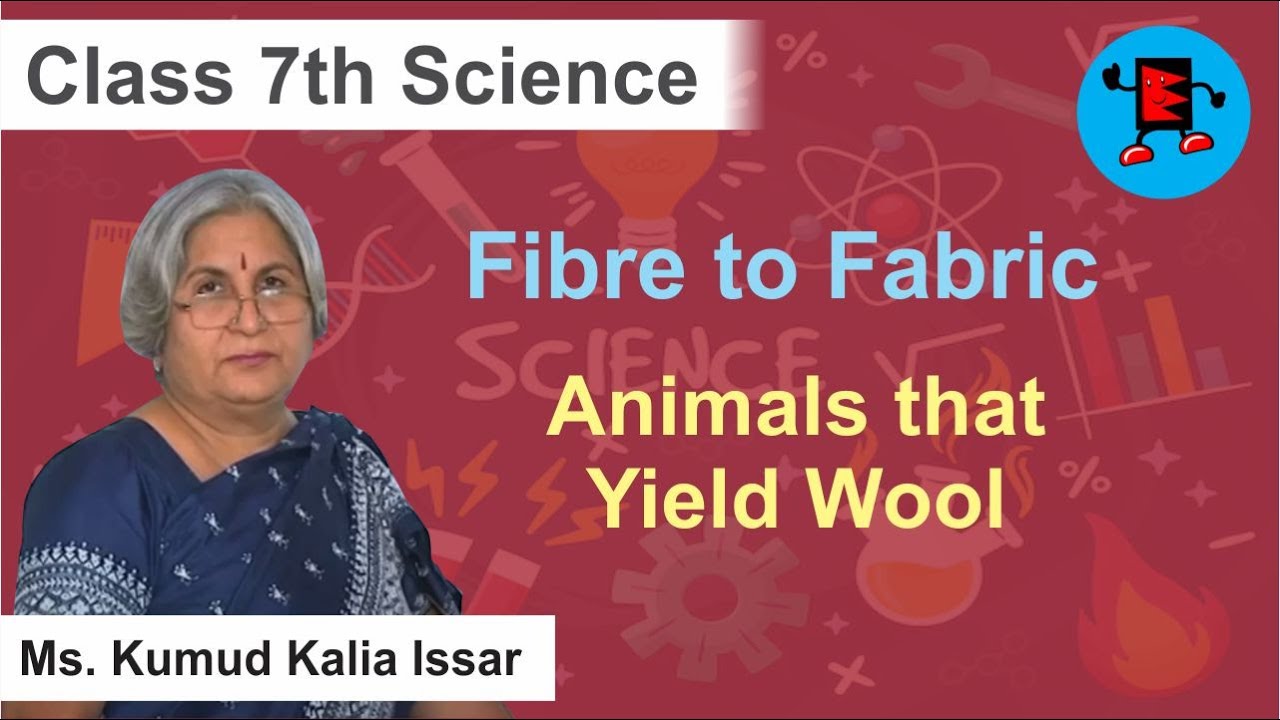 CBSE Class 7 Science Fibre to Fabric Animals that Yield Wool |Extraminds