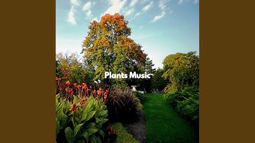 Remarkable Moods for Knowing Essentials