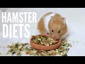 What To Feed Your Hamster | Hamster diets