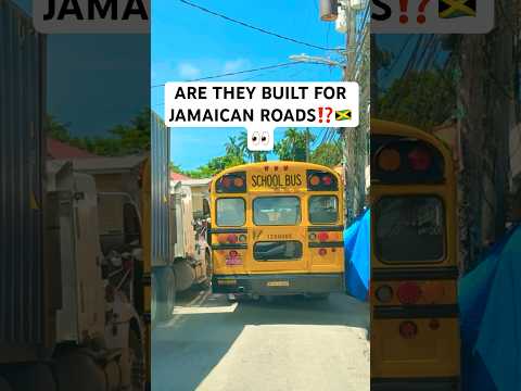 SHOCKING! LOOK What Happened here #jamaica #shorts