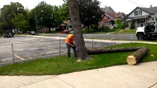 Dorshak Family Tree-fiddle block demo