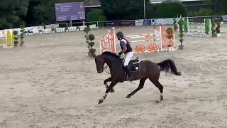 DHT 28-05-2026: Comme Jordan, gelding, 2018 by Comme Il Faut