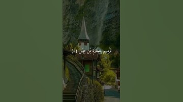 سورة الفيل