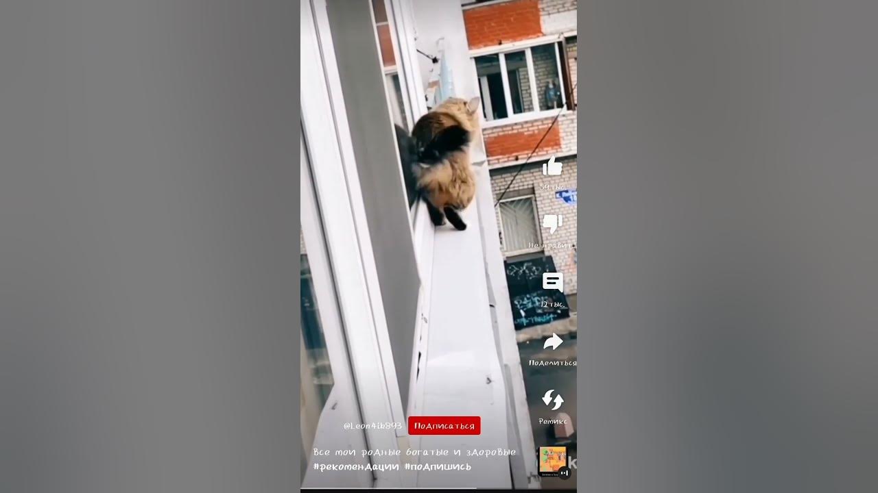 рооо - YouTube