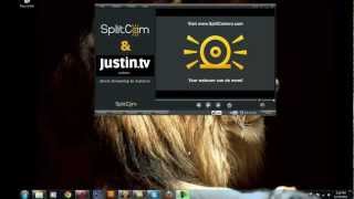 Skype and SplitCam. If SplitCam doesn't work with Skype screenshot 5