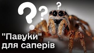 🕷️ Підприємець вигадав УНІКАЛЬНІ штукенції для розмінування і переладнав весь свій цех!