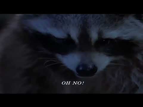 The Great Outdoors (1988) – Post-Credits Scene | Raccoons Talk About “Bald on Both Ends” Jody