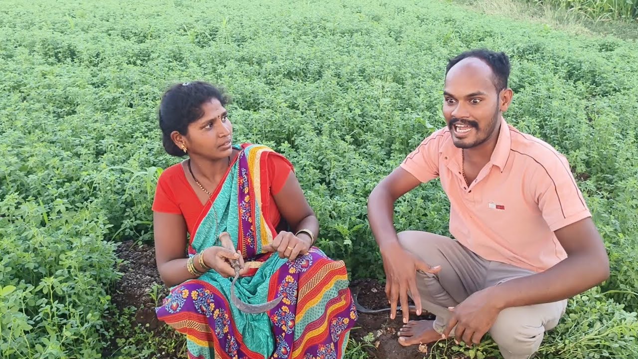 2 मार्च 2025 तू हरण झाली तर मी वाघ होईन फुल कॉमेडी