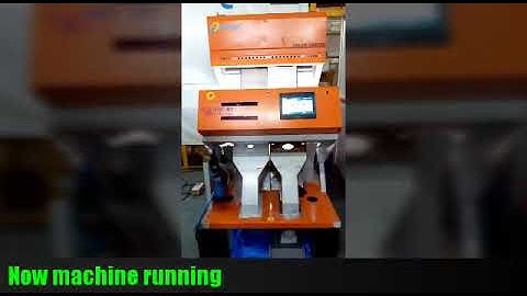 Garlic Sorting Machine from Orange Sorting Machines