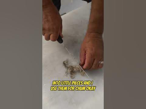 How to use Cut Squid for Bait! #squid #squidfishing #squidbait #
