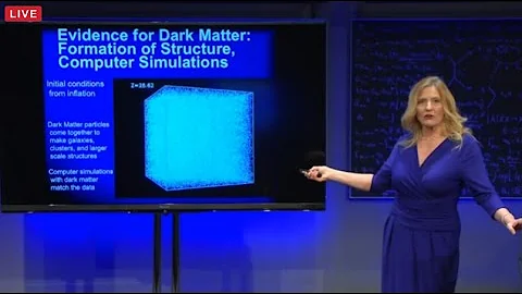 Katherine Freese Public Lecture: The Dark Side of ...