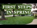 FIRST steps to a THICK GREEN LAWN this SPRING