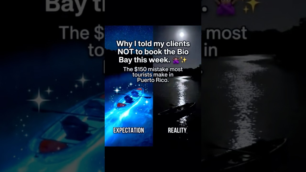 Puerto Rico Bio Bay Guide: Watch BEFORE Booking! 🌑🚣‍♀️