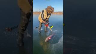 He Found A Giant Fish Frozen Inside Ice In Iceland