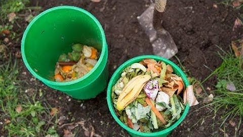 How to avoid a smelly compost