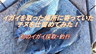 イガイ取り器でカラス貝採取 釣行