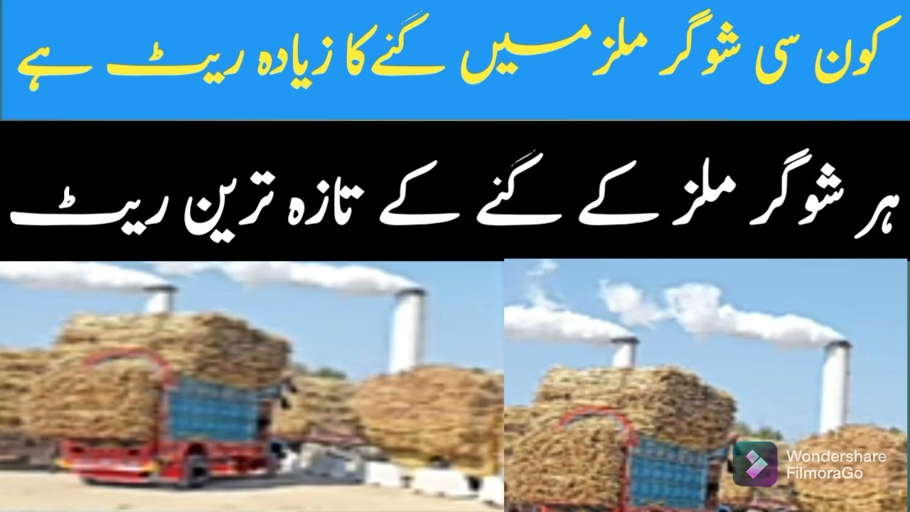 Sugarcane new prices | Sugarcane new prices from sugarcane mills |Sugarcane new rates 2021