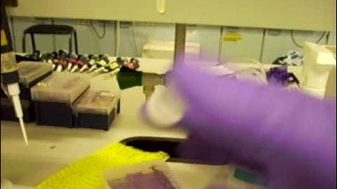 Video showing inversion method for mixing soluutions