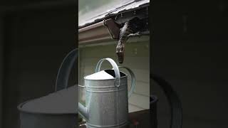 10 Minutes to Set Up Your Own Rainwater Collection System
