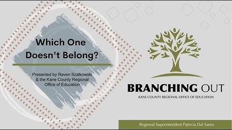 Branching Out: Which One Doesn