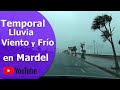 Nada nos detiene -  Temporal en Mar del Plata - Recorrimos las playas con viento y lluvia.