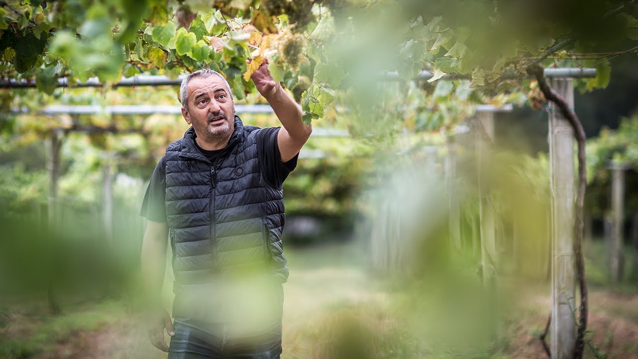 Bodegas Forjas del Salnes