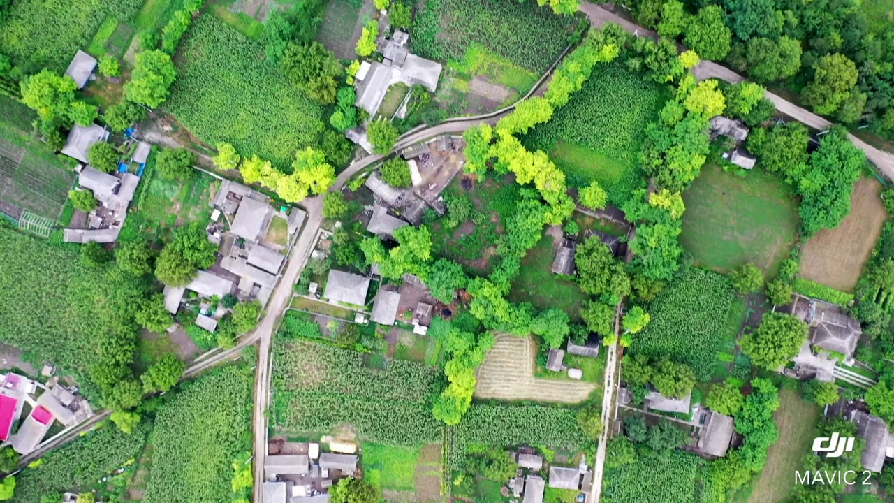 Village  in the Republic of Moldova Viisoara Edinet