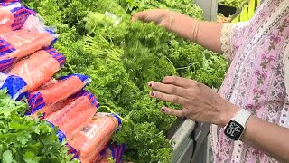 Smart Shopper: How you can save on staples at international grocery stores