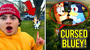 I FOUND CURSED BLUEY & BINGO IN REAL LIFE!! (THEY FOUGHT)