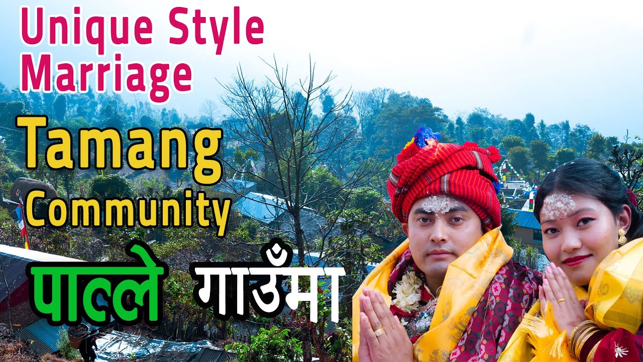 Village Marriage |Unique Style of Marriage in Tamang Community | Patle, Dhading Nepal | 2023 Nepal |