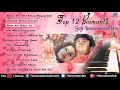 Top 12 Romantic Soft Instrumental  ||  Audio Jukebox