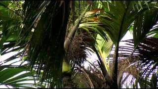 itravel Tipp: Die Naturparadiese der Seychellen