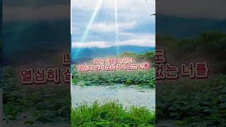 있는그대로의사랑#감성릴스 #순수한마음  #그날의기억 #마음쉼터tv #감성캡션  #빛처럼_스며든_너 #좋아요는사랑입니다