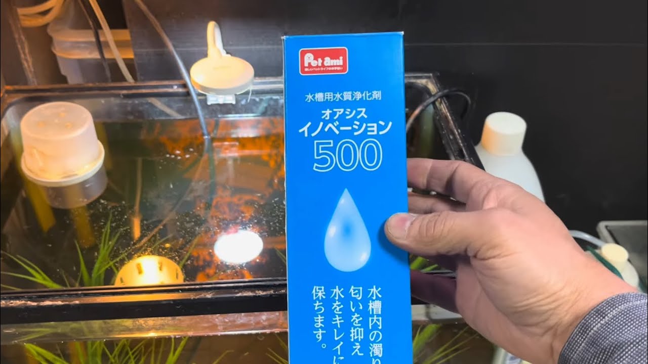 I tried out the much-talked-about Oasis Innovation. Does it really