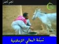 غبار الهجير2 الحلقة الثانية عشر ج1