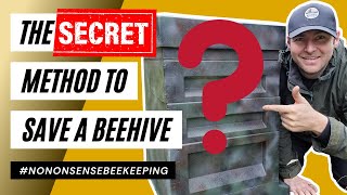 The Easiest Way To Save A Beehive