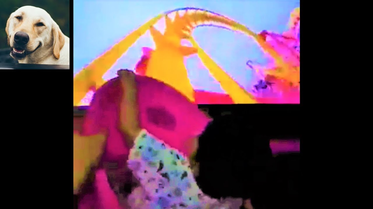 Baby rides virtual roller coaster on TV again and make super cute