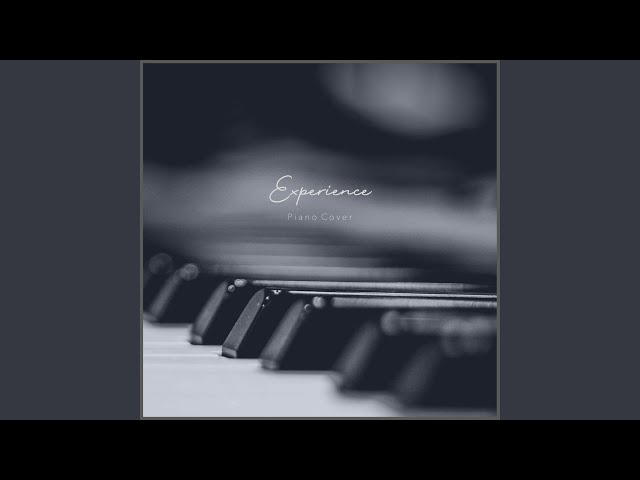 Experience