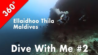 [360°] Dive With Me #2: Ellaidhoo Thila, Maldives (2024-01-15)