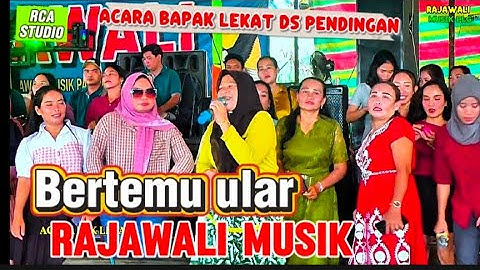 BERTEMU ULAR  | OM. Rajawali MusikPalembang| acara bapak lekat ds. Pendingan semangus record
