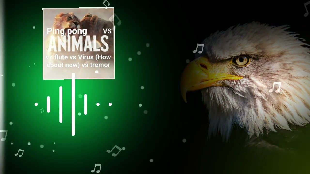 Ping pong vs Animals vs flute vs Virus (How about now) vs tremor