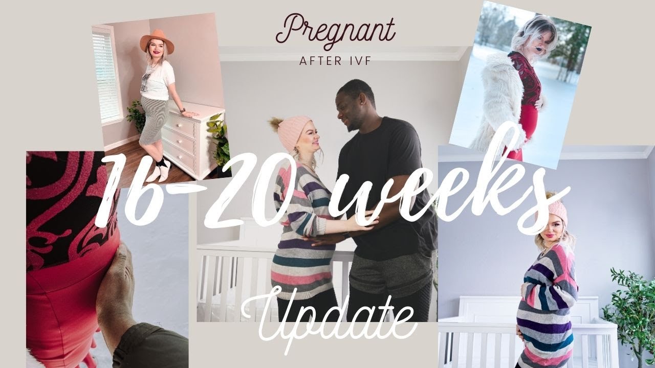 Bumpdate (Pregnant After IVF) | 16-20 Weeks | Anatomy Scan & Movement