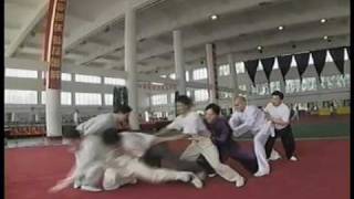 Tai ji Master Chen Zheng lei 陳正雷老師