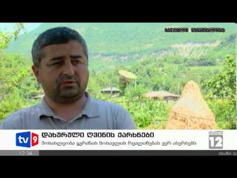 ახალი 12 | დახურული ღვინის ქარხნები | 25.07.12