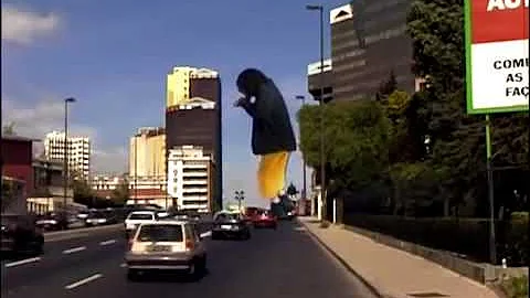 É o bicho gíria significado?